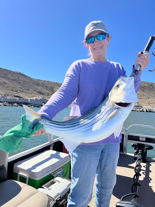 Southwest - Elephant Butte Lake - Brenda Hume